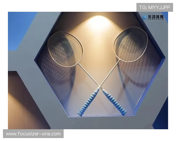 ld乐动体育平台的未来发展方向，创新技术引领体育娱乐新潮流