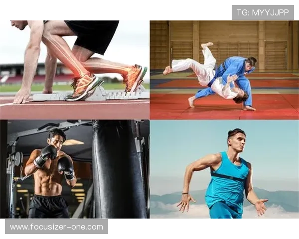 lt体育：分享体育训练技巧与运动健康知识，助力运动爱好者提升水平