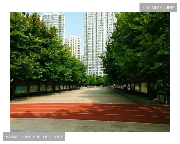 乐天体育leb：乐天体育leb的用户评价与反馈，帮助你做出更明智的选择