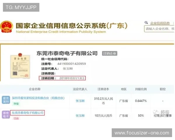乐投官网客户服务体系全面升级全天候在线为您解答疑问